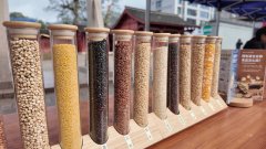 2025年庆元县食物平安宣传周从场勾当举行